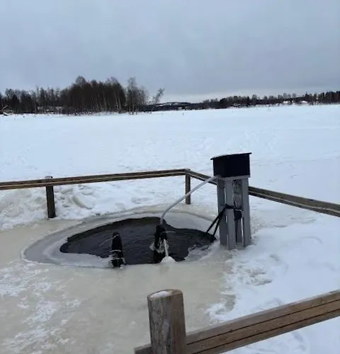 Appartement Koivikko *